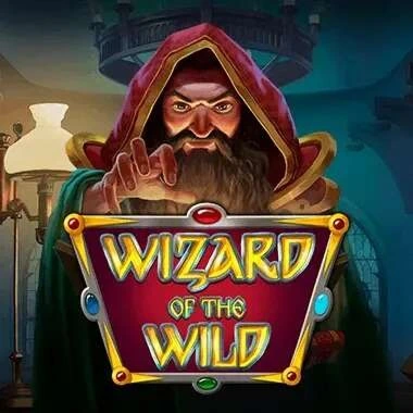 wizard of the wild